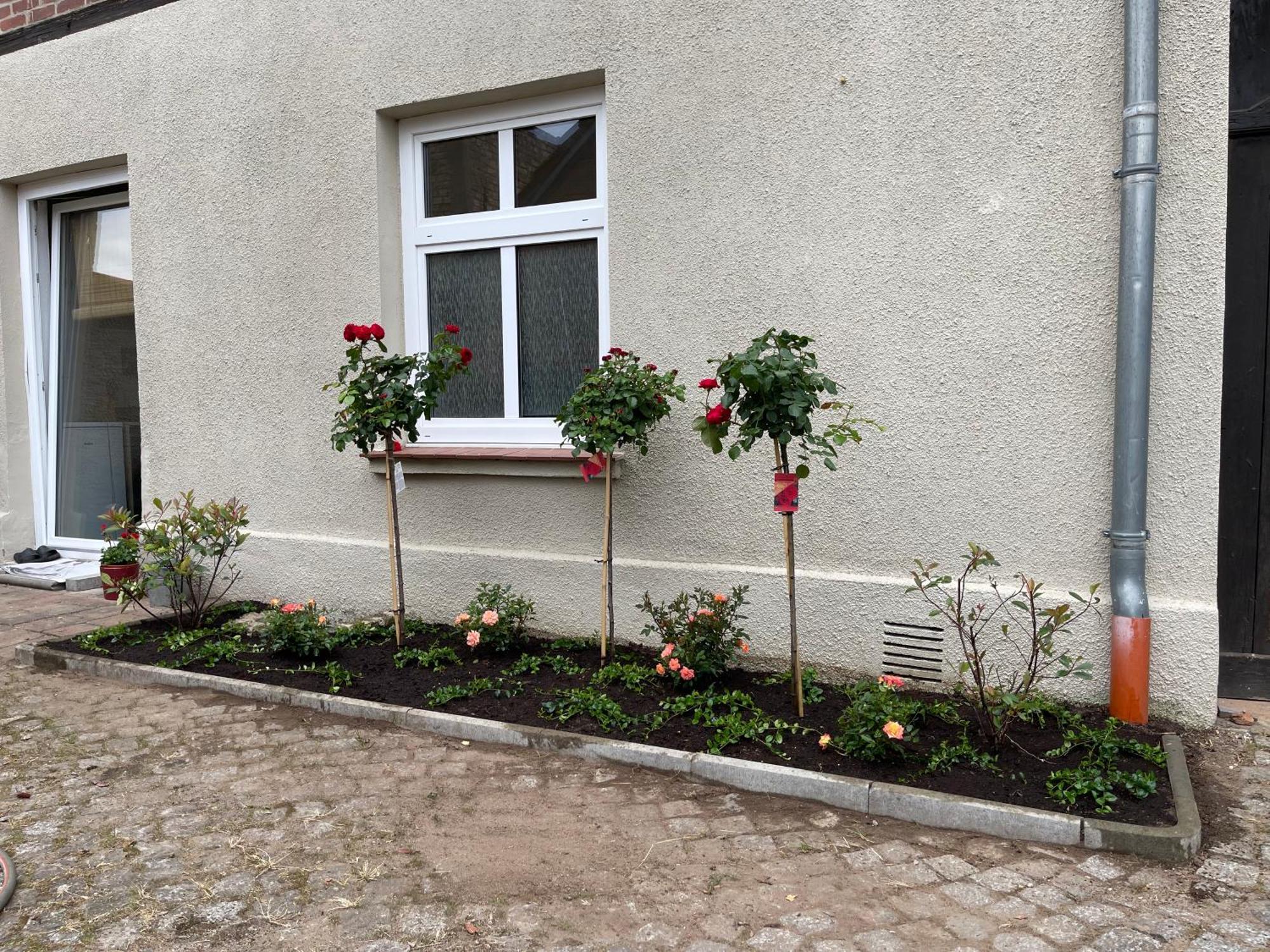 Hofquartier Schwerin Apartment Bagian luar foto